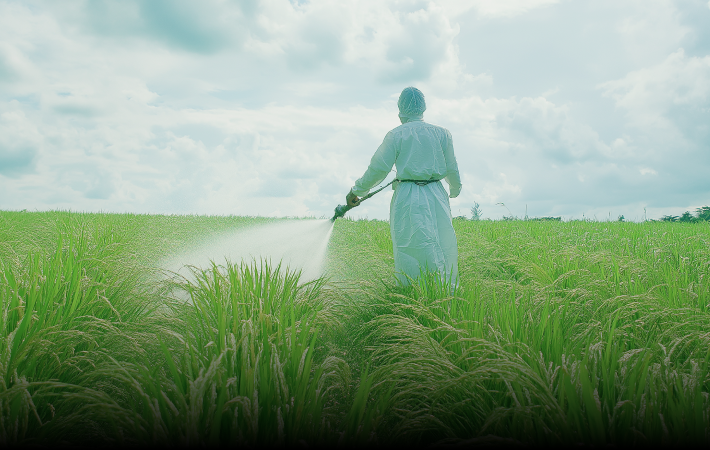 Pesticides and Fertilizers