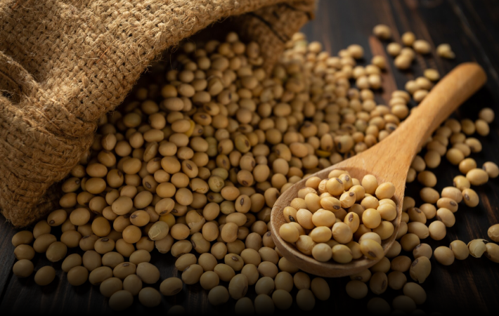 Soy Protein