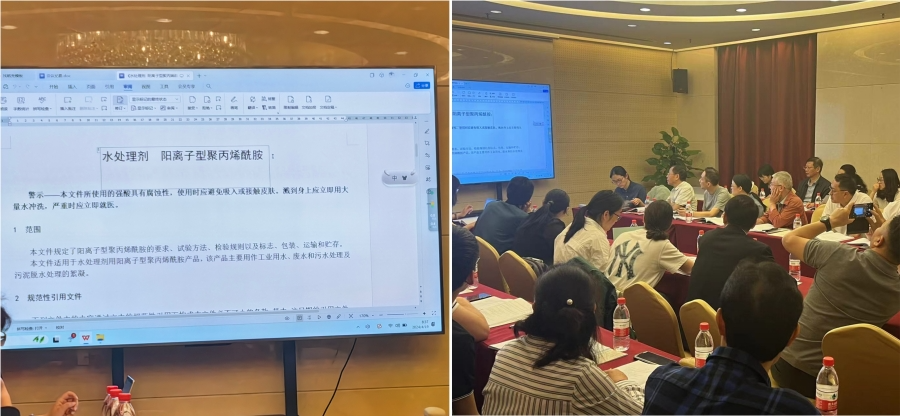 During this meeting, the project leader of the Standard Committee introduced in detail the preliminary work and literature review of standard formulation and revision.
