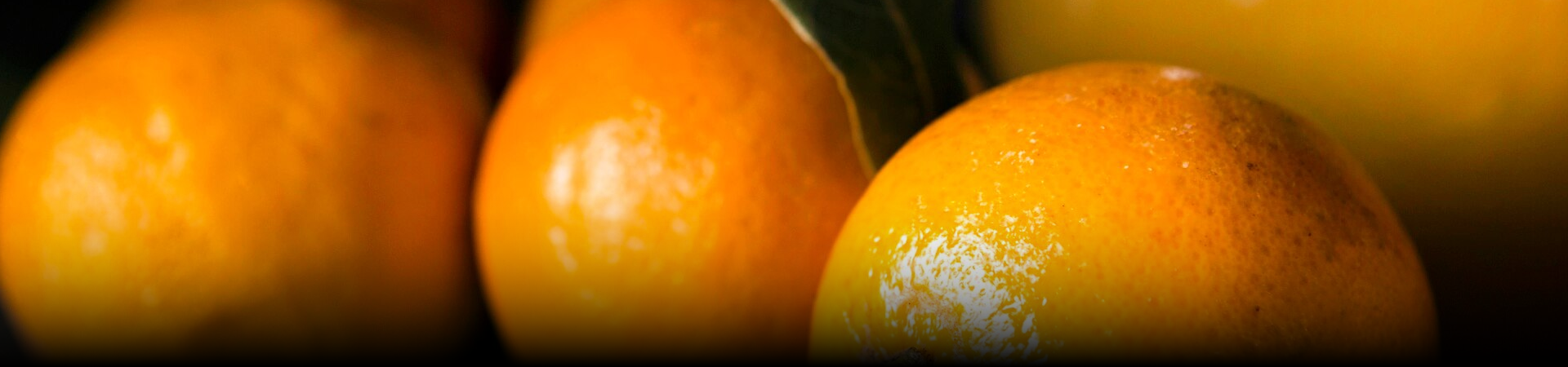 Canned Oranges