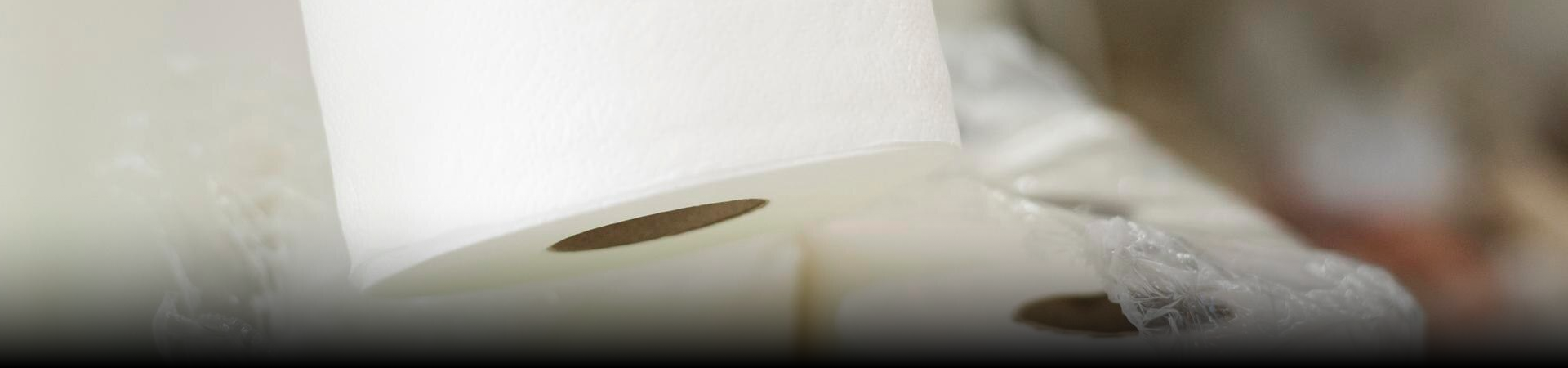 Toilet Paper