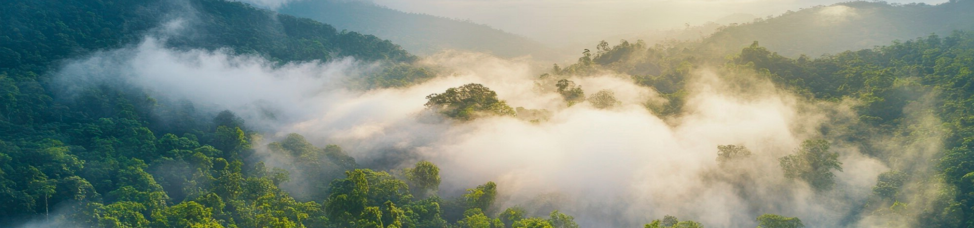 Sustainability
