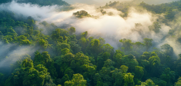 Sustainability
